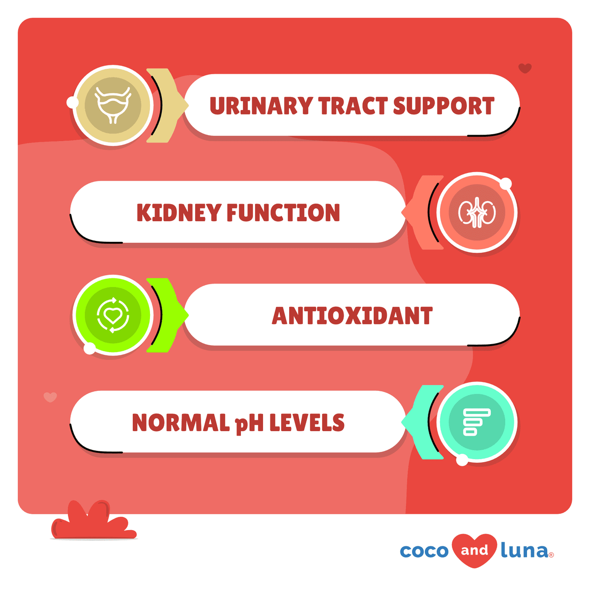 Coco and Luna Urinary Tract - Cranberry, Bladder Support, Dog UTI - 120 Tablets