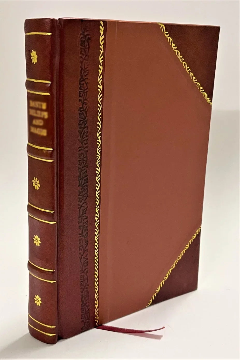 I marmi di Santa Maria del Giudice e San Lorenzo a Vaccoli Giuseppe Meneghini [Leather Bound]