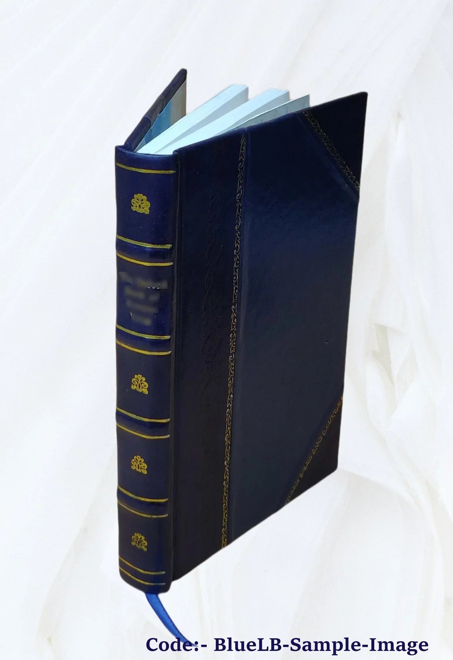 Sulpitii Severi Opera omnia quae extant 1643 [Leather Bound]
