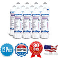 AFC Brand , Water Filters , Model # AFC-EPH-300-12000SK , Compatible with Pentair® EV9612-56 - 12 Filters - Made in U.S.A.