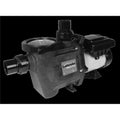 Waterway Plastics  1.65HP 230V Power Defender VSP Pump