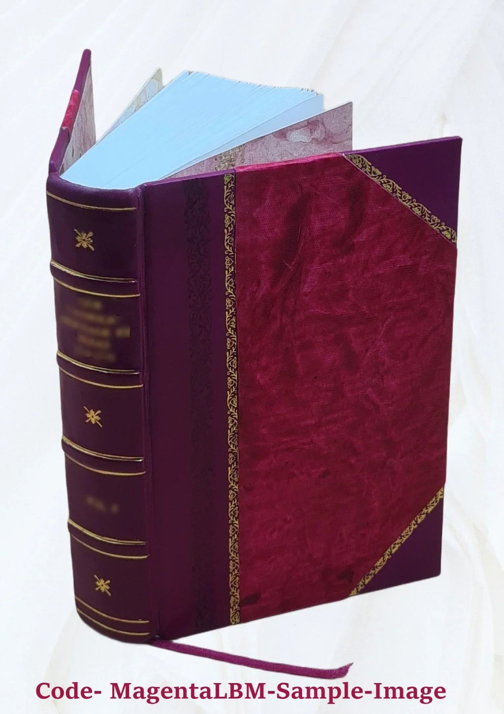 Opera omnia Volume t.4 1870 [Leather Bound]