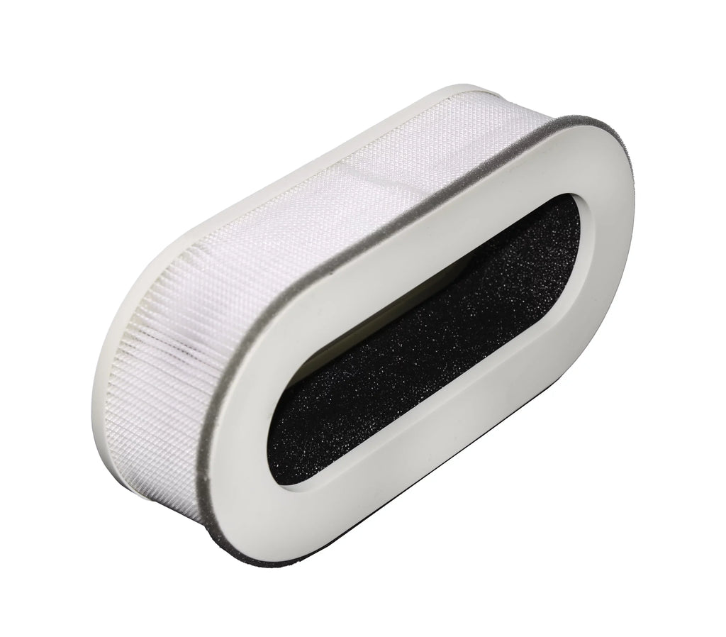 LifeSupplyUSA (2-Pack) Filter Replacement Set Fits Renpho RP-AP068 (3 in 1)