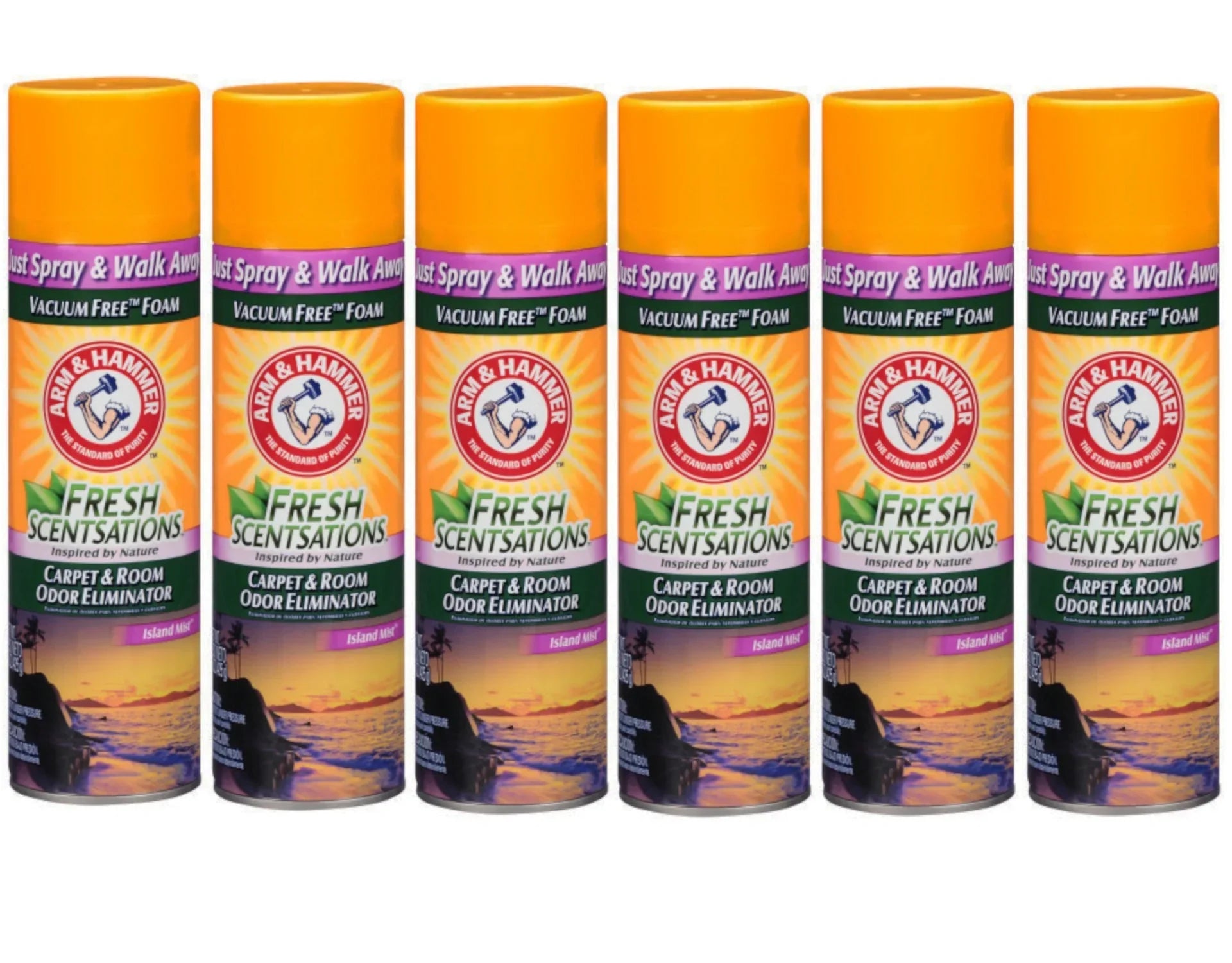 Arm & Hammer Fresh Scentsations Carpet & Room Odor Eliminator Vacuum Free Foam, Island Mist Scent, 15 Ounce - 6 Pack