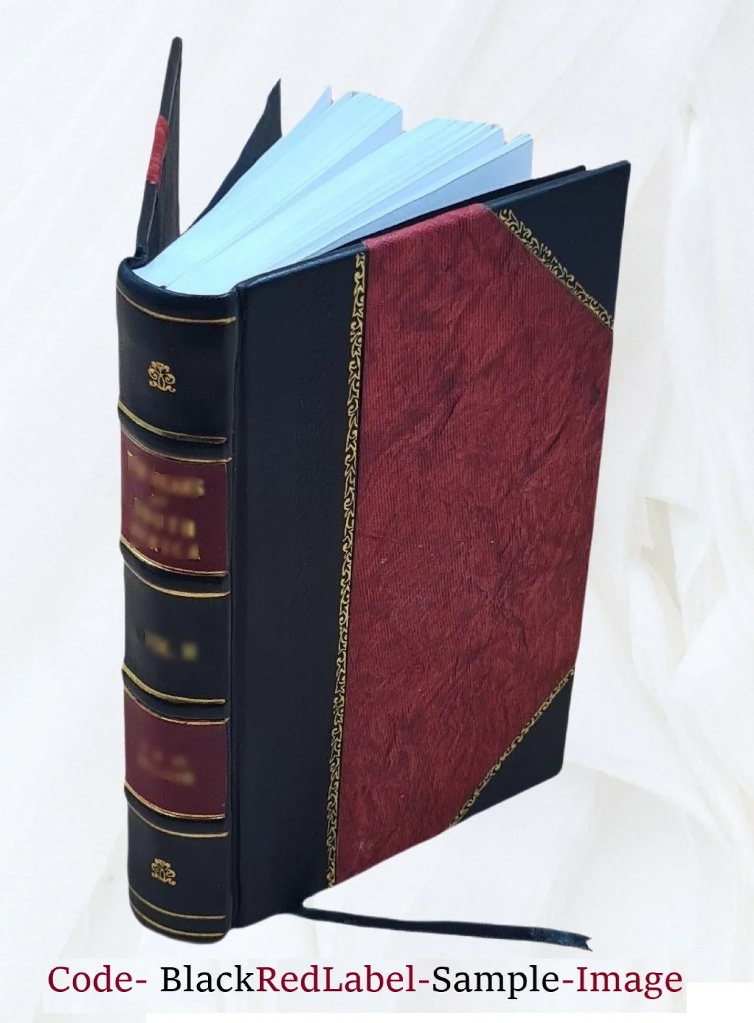 Volume 3 of the William Darlington notes on the lectures of Benjamin Rush Volume 3 1802 [Leather Bound]