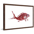 "Red Snapper 2" Framed Painting Print