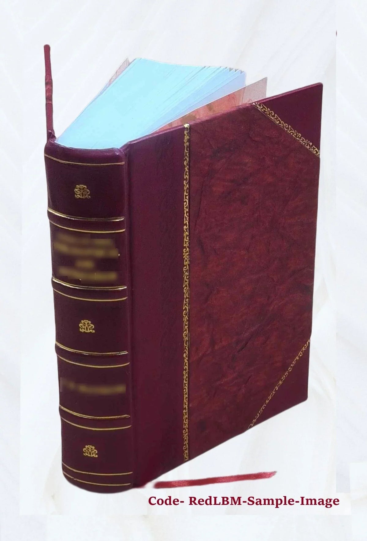 Raccolta delle provvisioni intorno le acque, i ponti, e le strade Volume 1 1828 [Leather Bound]