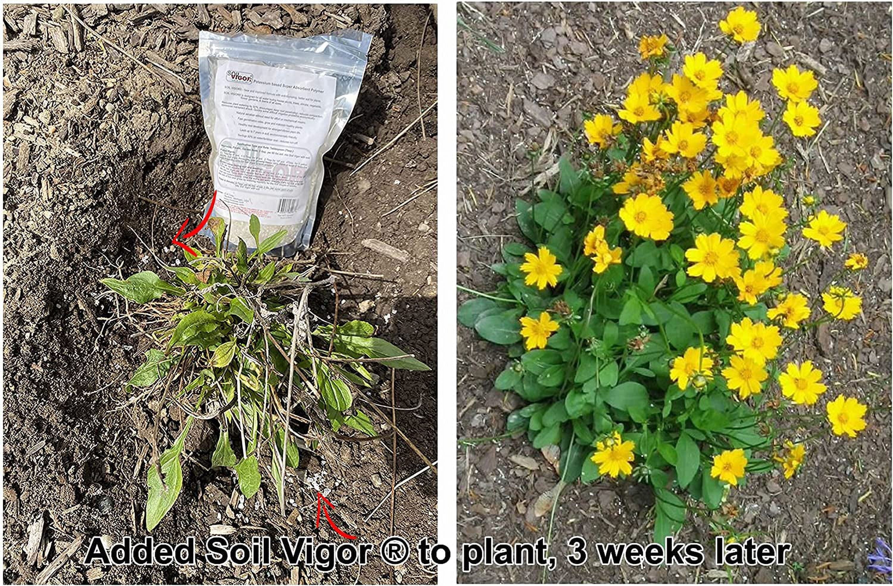 Potassium Polyacrylate Keep Moisture and Regulate The ph of Soil for Plant 45 Pounds