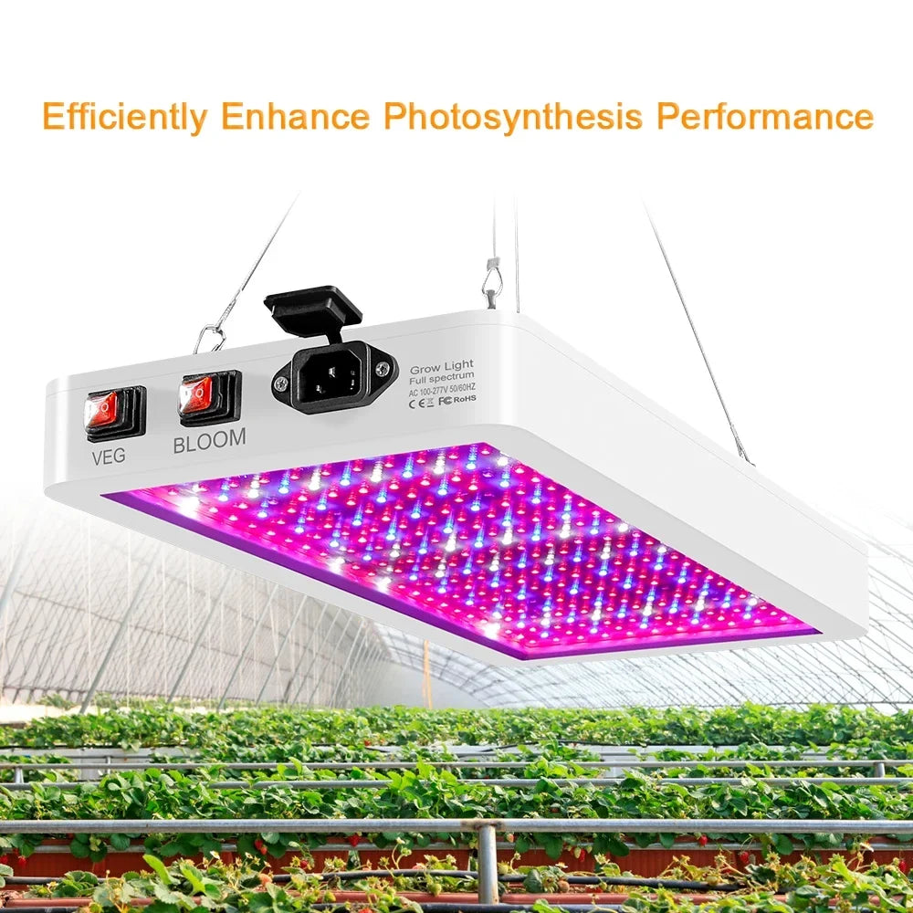 Abanopi 2000W LED Grow Light for Indoor Plants 312 LEDs Full Spectrum Veg and Bloom Dual Switch IP65 Waterproof Hanging Plant Growing Lamps for Seedlings Flowers Greenhouse