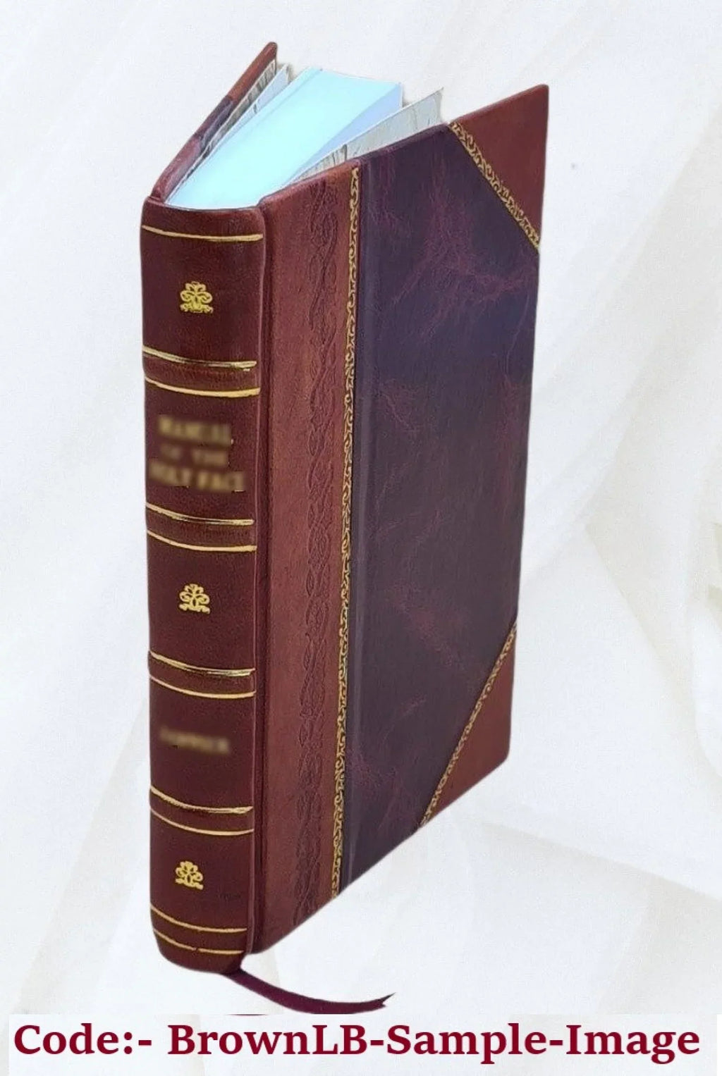 Characteres, et Philodemi De vitiis liber decimus. Accedunt Characterismi duo ex Rutilio Lupo et ex Rhetoricis ad Herennium. Cum commentario edidit J.L. Ussing. 1868 [Leather Bound]