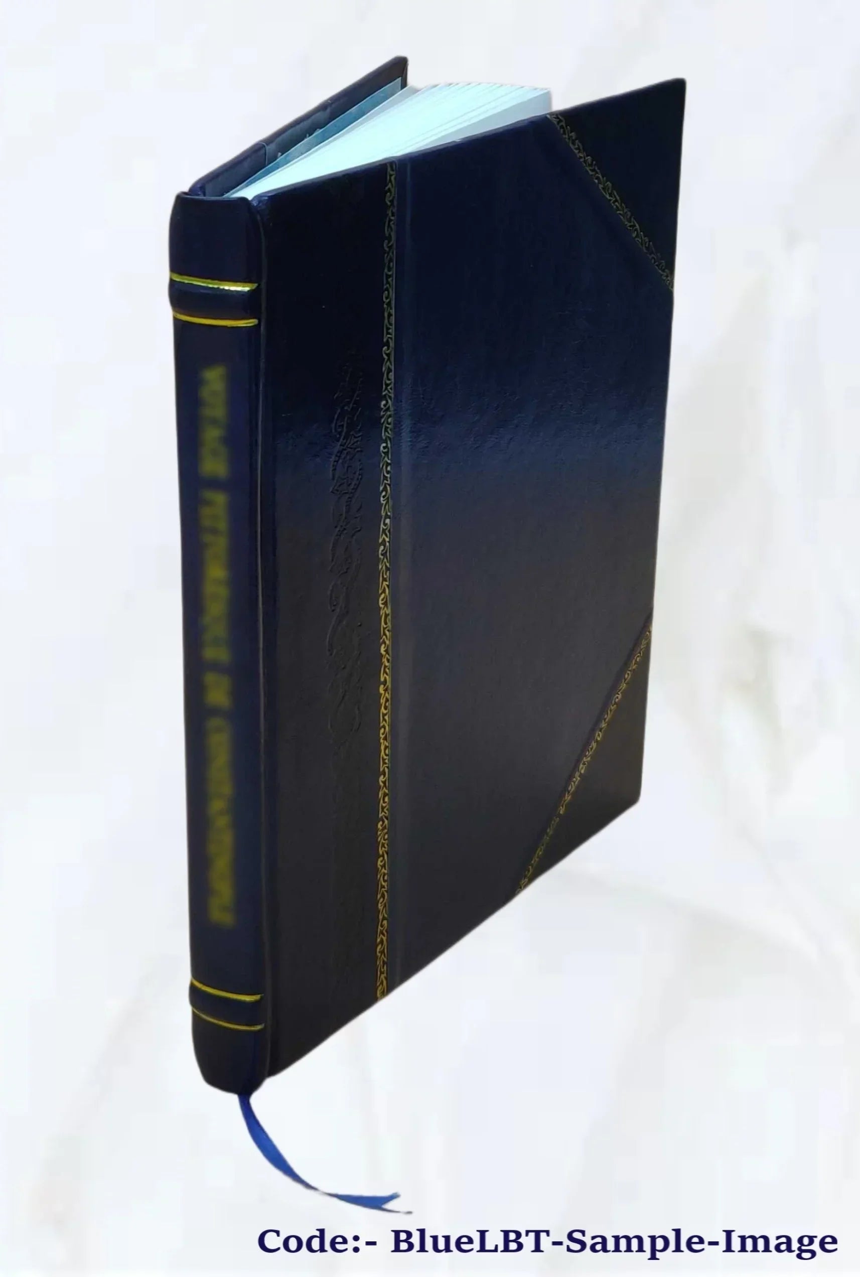 Concurrent resolution on the budget for fiscal year 1992 : hearings before the Committee on the Budget, United States Senate, One Hundred Second Congress, first ses [Leather Bound]
