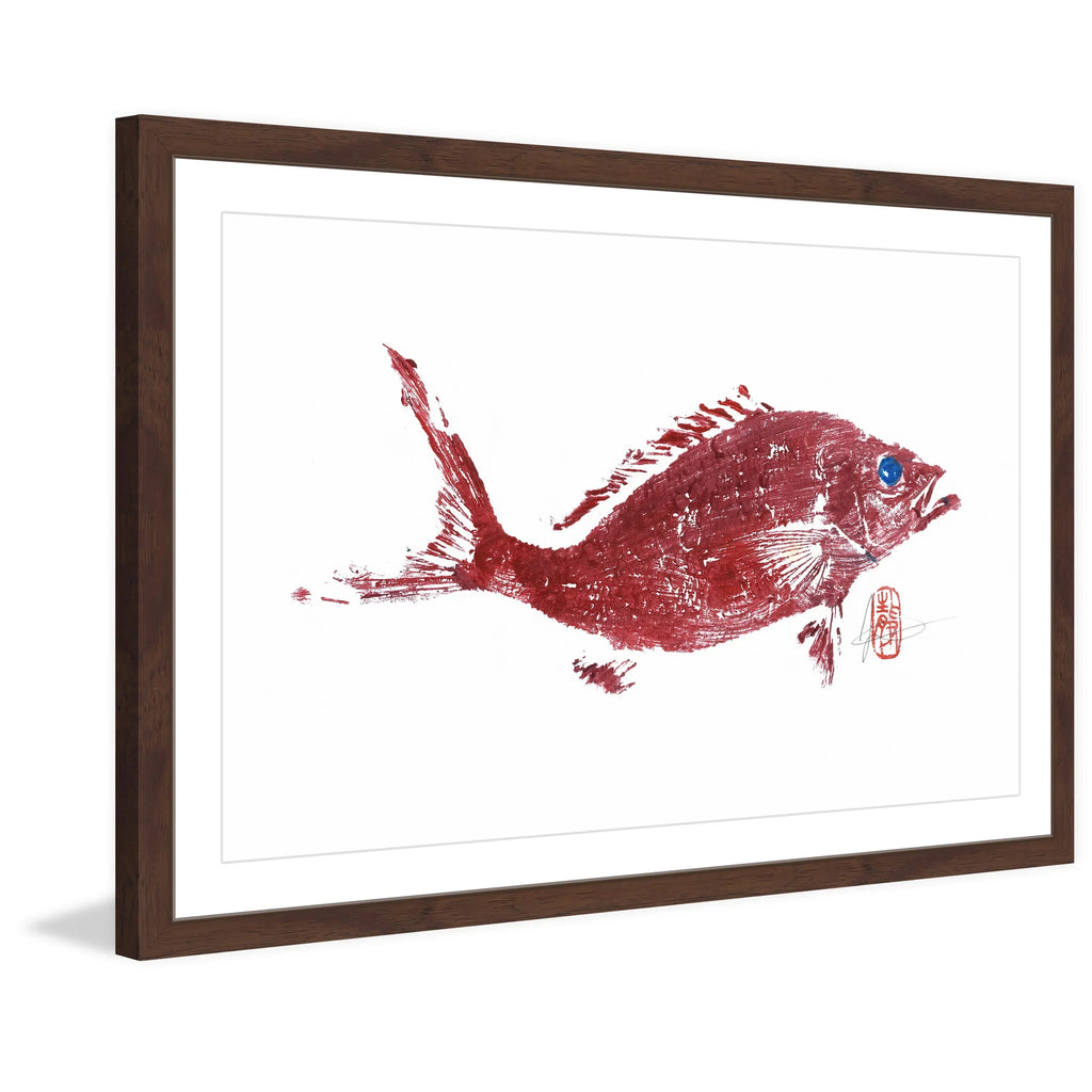 "Red Snapper 2" Framed Painting Print