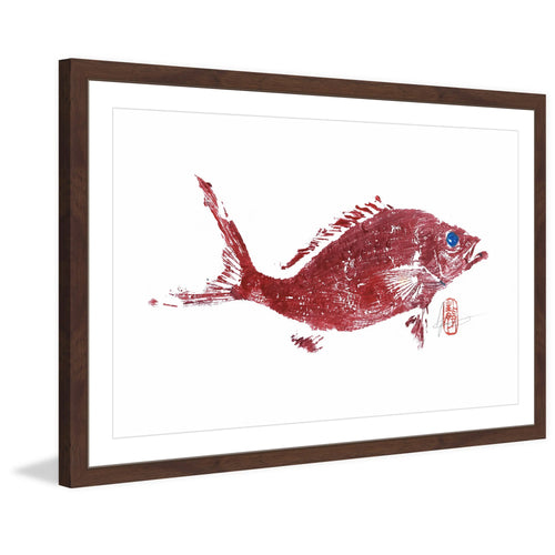 "Red Snapper 2" Framed Painting Print
